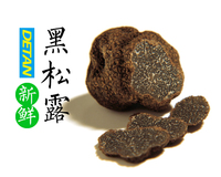 Truffe Noire Sauvage Chinoise Fraîche Naturelle