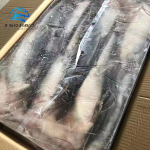 Venta Caliente de Bagre Fresco Congelado Entero o Vivo de Alta Calidad a <span class=keywords><strong>Precio</strong></span> de Mayoreo - Product Image 5