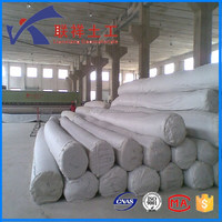 Fábrica geotextil de tela no tejida de poliéster de estilo industrial 100g-800g La mejor calidad para uso en carretera