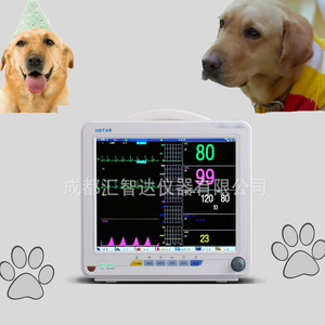 Monitor de ECG Portátil para Animales Huizhida de 12 Pulgadas, Multiparámetro para Mascotas - Product Image 3