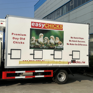 Camión de Transporte de Pollitos y Patitos de un Día de Edad FOTON 4x2, Camión de Reparto de Aves de Corral en Venta - Product Image 6