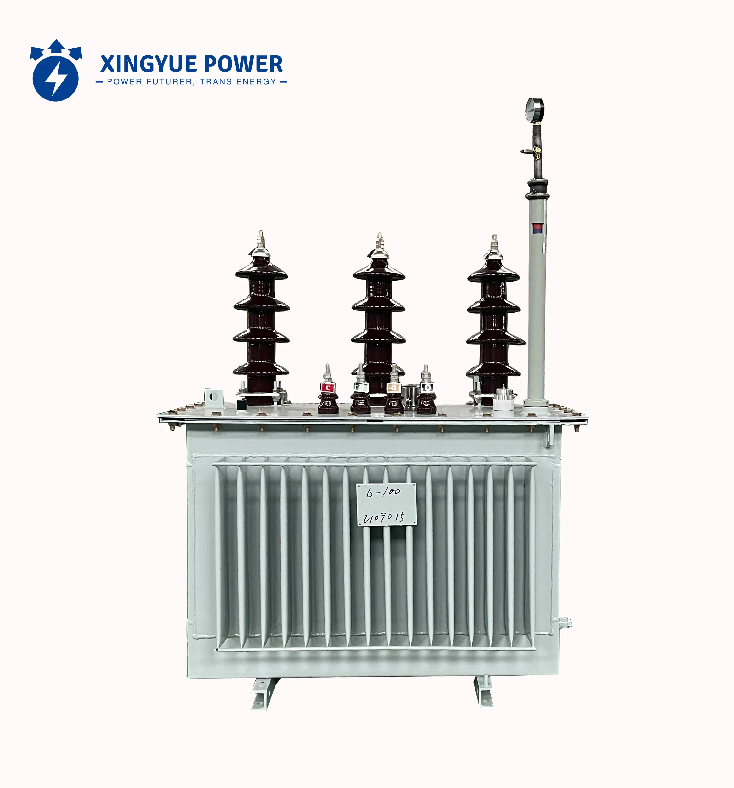 Trasformatore di distribuzione 10kV a bagno d'olio 315kVA