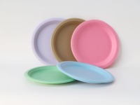 Assiettes et plateaux jetables biodégradables en plastique, couleurs personnalisées, écologiques, de 6 à 12 pouces, pour la restauration, collection 2026