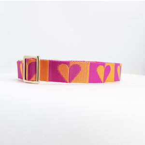 <span class=keywords><strong>Collar</strong></span> de perro de nailon con hebilla de Metal de Color dorado de lujo con logotipo Jacquard personalizado hermoso - Product Image 6