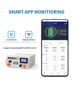 Customized 102.4V 204.8V 10.24kWh 20KWH High Voltage Rack <b>Mounted</b> 51.2V 100Ah Lithium <b>Battery</b> Package for Energy Storage System - Product Image 1