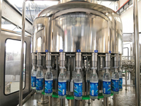 Automatische fruitsap productielijn 6000BPH hoge capaciteit PLC & touchscreen gecontroleerd multi-machine systeem 220V/380V