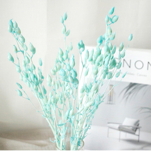 Paquete de Materiales para Manualidades con Flores Eternas, <span class=keywords><strong>Atrapamoscas</strong></span>, Hierba, Vela Flotante en <span class=keywords><strong>Botella</strong></span>, Aromaterapia, Material Floral - Product Image 4