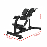 Banc d'hyperextension à 45 degrés pour club de gym, appareil commercial d'extension dorsale pour exercices du bas du dos