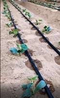 Kit d'irrigation goutte à goutte DIY 16 mm avec filtre anti-UV et injecteur d'engrais Venturi pour l'agriculture