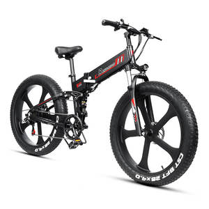Bicicleta Plegable RANDRIDE X-1000W con Motor de 250W, Batería de Litio de 17AH, 7 Velocidades y Cadena de Aluminio - Product Image 2