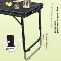 Table de camping pliante portable en aluminium avec plateau en maille, table de pique-nique extérieure, table de barbecue pour le camping, la randonnée et les voyages