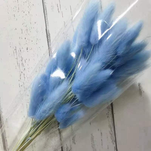 Vente en gros de <span class=keywords><strong>Lagurus</strong></span> Ovatus (Queues de lapin) séchées naturelles de qualité supérieure, 50 tiges/lot, pour les fleuristes et les organisateurs d'événements - Product Image 2