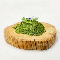 Poudre de Matcha Protéinée à Marque Blanche, Fourniture Directe Usine, Mélange Instantané Naturel Pur pour Latte Glacé au Matcha avec 10g de Protéine