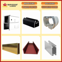 Abri de voiture en aluminium de haute qualité Mapleleaf-E pour l'extérieur, résistant à la neige, imperméable, pare-soleil