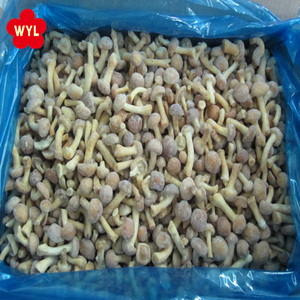 De <span class=keywords><strong>Nameko</strong></span> congelados - Product Image 3