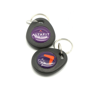 Custom Mini 125kHz TK4100 T5577 Keychain Blank Keyfob ABS RFID NFC Key Tags with Logo - Product Image 4