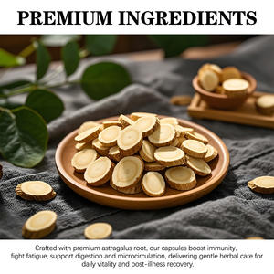 Cápsulas de Extracto de Astrágalo Orgánico, Suplemento Herbal, Refuerzo Inmunológico, Adaptógeno Natural, Sin OMG, Suministro a Granel - Product Image 6