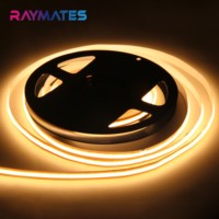 Raymates Zuschneidbare LED-Streifen COB Frei Zuschneidbar Punktlos 480 LEDs 8mm 12V 24V LED-Lichtband für Wohnzimmer Schlafzimmer Innenbereich Decke Zuhause
