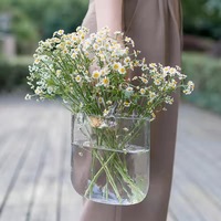 Vase de sac à main créatif moderne Transparent hydroponique Aquarium Arrangement de fleurs fraîches Salon Salle à manger Table verre Internet