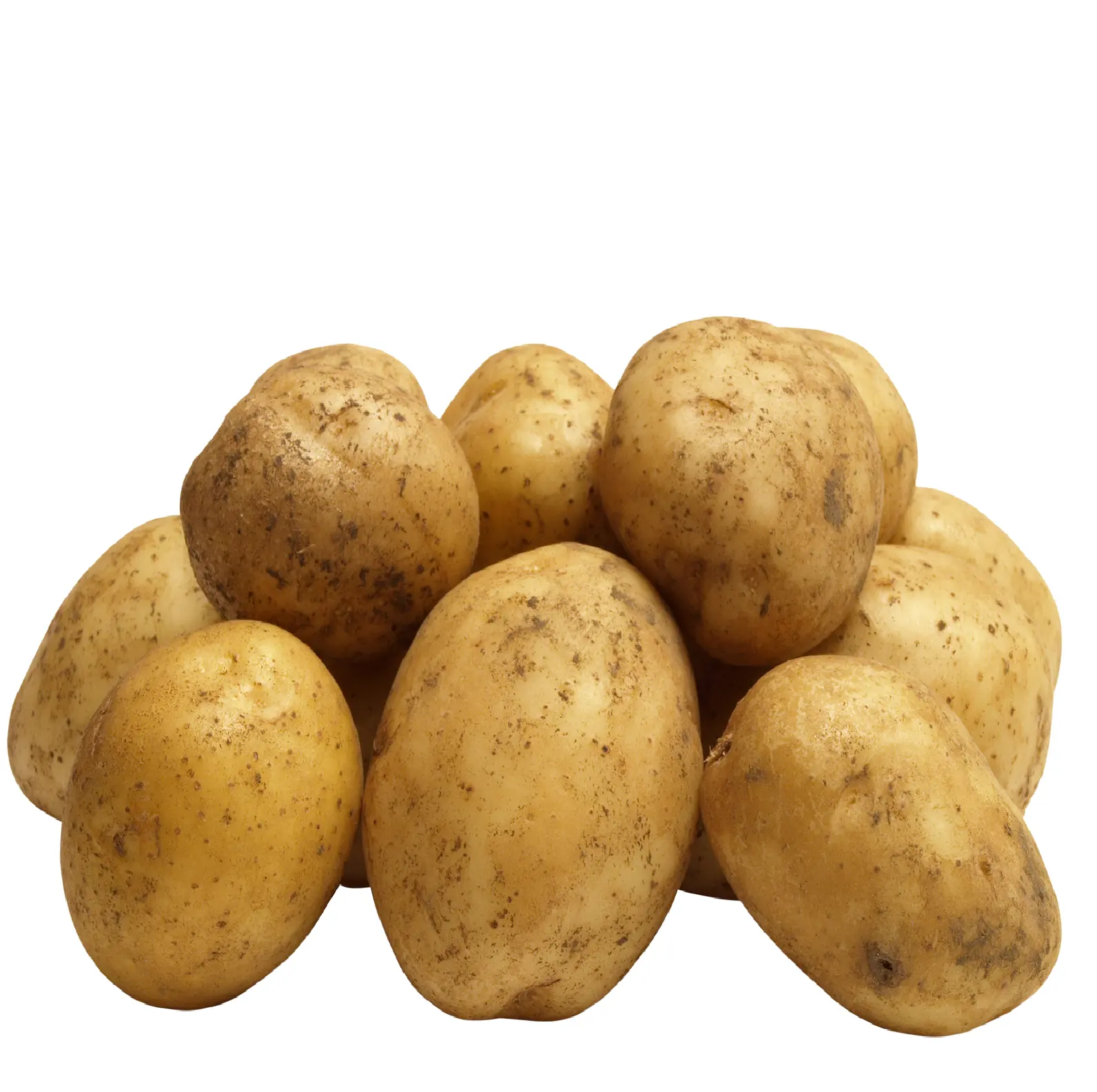 Kartoffel frisch Bio-Kartoffeln hohe Qualität günstigen Preis profession elle Export Großhändler Potato potatofresh aus Pakistan