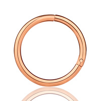 Anneau segmenté articulé en acier inoxydable hypoallergénique RQ, sans soudure, pour piercing de nez, septum, clicker, hélix - Vente en gros