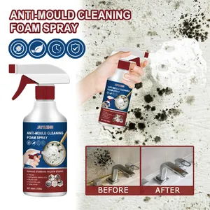500ML Kitchen Cleaning Foam Household Kitchenware Descaling Detergent
