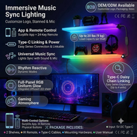 Étagères flottantes LED RGB, lot de 2, contrôle par application, décoration de salle de jeux |   Éclairage RGB sur toute la surface avec application, télécommande, synchronisation musicale, Type-C