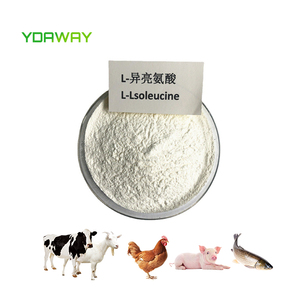 Ydaway nhà máy trực tiếp cung cấp thức ăn lớp l-isoleucine bột 99% cho thức ăn chăn nuôi, giá cả cạnh tranh với chất lượng cao - Product Image 2