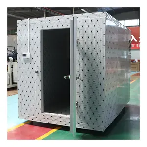 Goede Kwaliteit Isolatie Kast Koude Ketting Box Voor Elektrische Regrigeration Driewieler/Ijs Bestelwagen/Koude Keten Logistiek