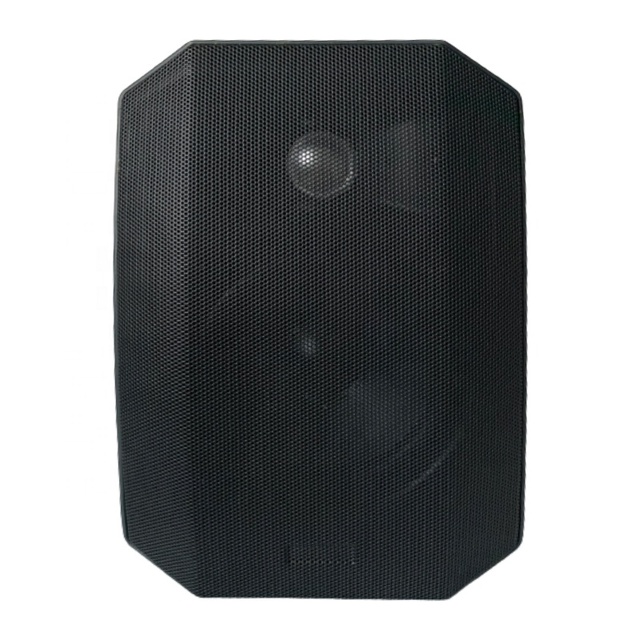 FT-308 100W Wall Hanging Speaker