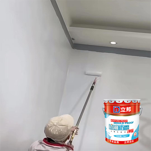 ป้องกันแม่พิมพ์ ภาพวาดภายในกันความชื้นและการตกแต่งผนัง ศิลปะการตกแต่งระดับมืออาชีพ สีน้ํายางอิมัลชัน - Product Image 1