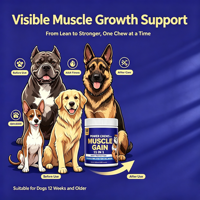 Compléments alimentaires pour la santé des animaux de compagnie, soutien immunitaire, haute teneur en protéines, comprimés à mâcher doux et sûrs, chiens, chats, absorption rapide, vitamines, minéraux, santé