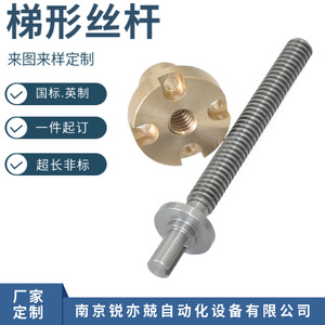 สกรูตะเข็บรูปสี่เหลี่ยมคางหมูพร้อมน็อตทองแดง Tr22x8 Tr22x10 สำหรับเครื่องมือกล ทำจากเหล็กกล้าไร้สนิม - Product Image 2