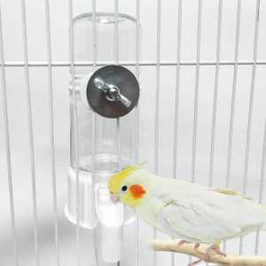 Toptan otomatik şeffaf çanaklar kuş dağıtıcı papağan güvercin Starling besleyici otomatik kuş tiryakisi kuş malzemeleri - Product Image 6