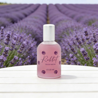 Veyes Durable 110ml Grande Capacité En Gros En Stock & ODM & OEM Parfum Enfant Eau De Parfum Doux Parfum Floral pour Enfants