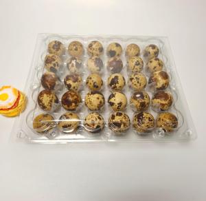 Bandeja Transparente para 30 Huevos de Codorniz con Protección Segura para el Mercado Minorista y Empaquetado de Huevos para Pequeñas Empresas - Product Image 5