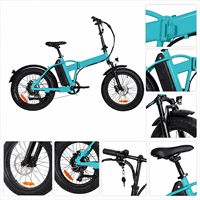 Vélo électrique pliable sur mesure à pneus larges, 20 pouces, batterie lithium 48V, moteur moyeu arrière 250W/350W, idéal pour les trajets urbains – Vente directe usine