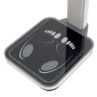 Skala pengukuran tinggi dan berat ultrasonik manusia Digital dengan fungsi BMI dan Printer termal