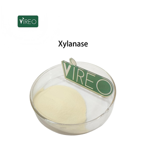 Futtermittelqualität Xylanase Futtermittel-Enzym Hohe Aktivität 5.000u/g Xylanase-Enzym Bestseller Wettbewerbsfähiger Preis - Product Image 1