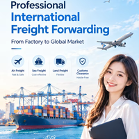 Tarif de fret compétitif, transitaire international, service d'expédition porte-à-porte, logistique mondiale, conteneur sec 20GP