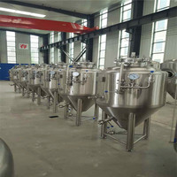Fermenteur Conique Tonsen 200L Unitank en Acier Inoxydable pour Brassage de Bière, Équipement Industriel, Cuve sous Pression avec Refroidissement par Plaques Alvéolées