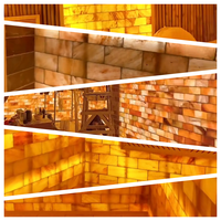 Vente en gros Carreaux de sel de l'Himalaya pour sauna mural Salles de spa Artisanat naturel décoratif pour la construction d'air purifié