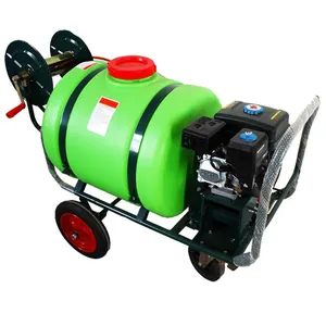 Garden water spraying machinery agricultural farm hand push gasoline sprayer nebulizer machine price