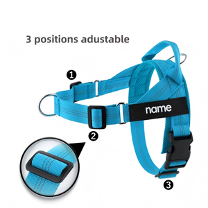 <span class=keywords><strong>Harnais</strong></span> pour <span class=keywords><strong>chien</strong></span> personnalisé, léger, facile à ajuster, avec sangle de poitrine, anti-explosion, laisse pour <span class=keywords><strong>chien</strong></span>, pour chiens de taille moyenne et grande - Product Image 4