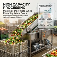 Volledig Automatische Kantelbare Dump-type Hogedruk Belletjesband Groente- en Fruitwasmachine 220/380/440V Laagspanning