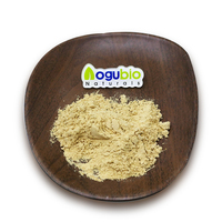 Poudre de ginseng biologique Poudre de ginseng rouge coréen adaptée aux végétaliens Suppléments à base de plantes Poudre d'extrait de ginseng américain