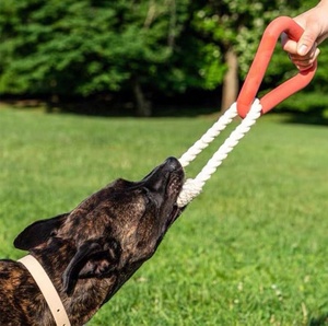 Produttori Eco Friendly Super Chewer accessori per animali corda grande <span class=keywords><strong>razza</strong></span> Haute Wild One Dog Triangle Tug <span class=keywords><strong>Toy</strong></span> - Product Image 5