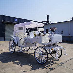 Calèche électrique blanche avec auvent et quatre roues pour usage extérieur, sortie familiale - Product Image 4