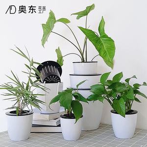 Grand pot de fleurs en résine plastique écologique blanc style ferme, auto-absorbant, design <span class=keywords><strong>paresseux</strong></span>, pour jardinage de Pothos - Product Image 3