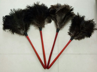 Plumeau télescopique en bois de 16 pouces de haute qualité avec plumes d'autruche pour le nettoyage des objets fragiles, des voitures, des ordinateurs et des étagères